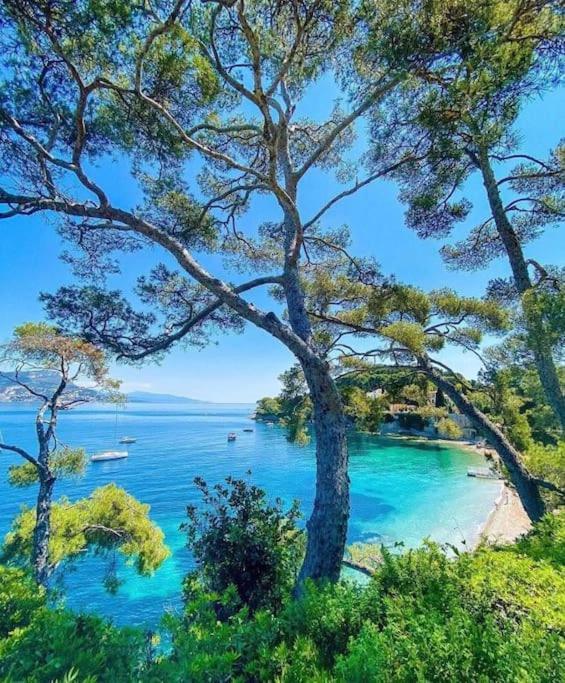 Saint Jean Cap Ferrat Grand Studio Avec Terrasse Zewnętrze zdjęcie